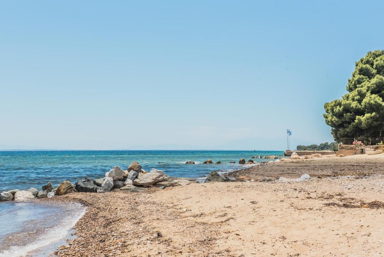 Citro By The Sea Hotel Metamorfosi  Ngoại thất bức ảnh
